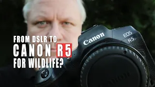 Canon EOS R5 Wildlife Photography - Perfect in Real life?