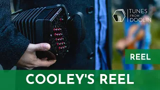 COOLEY'S REEL (Reel) | Irish Music Tunes on Concertina 🎵☘️