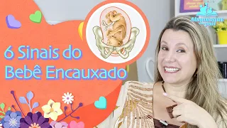 6 Sinais de que o BEBÊ ESTÁ ENCAIXADO | Com Quantas Semanas o Bebê Encaixa