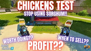CHICKENS TEST - Farming Simulator 22