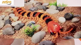 RC Centipede - Simulation Scary Fake Centipede Toy