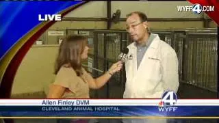 Veterinarian Offers Tips To Prevent Heat Stroke