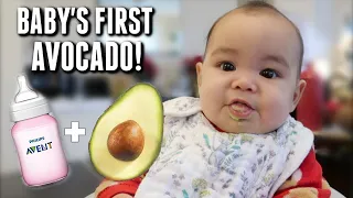 Her First Time Eating Avocado! feat. Philips Avent - itsjudyslife