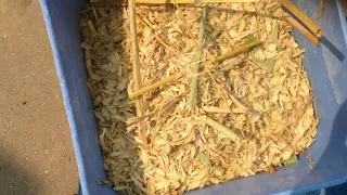 Harvesting and Processing the Oats - The Diffner Homestead