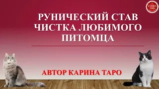 ЧИСТКА ДОМАШНИХ ПИТОМЦЕВ. Рунический став. Автор - Карина Таро руника магия рун