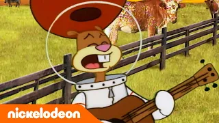 SpongeBob Schwammkopf | 5-Minuten-Episoden | Texas | Nickelodeon Deutschland