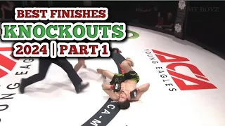 MMA Knockouts Best Finishes | 2024 | Part 1