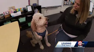 A Kansas City area therapy dog is the star of a new children's book