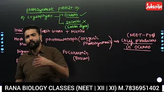 CLASS 11 | CHAPTER 2 | BIO. CLASSIFICATION| PART-8 | KINGDOM PROTISTA | CRYSOPHYTES | DIATOMS