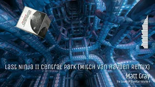 Matt Gray - Last Ninja II Central Park (Mitch van Hayden Remix)