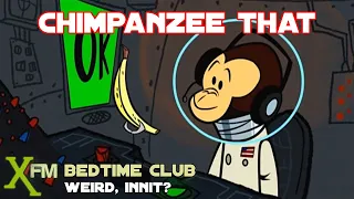 Chimpanzee that - Fall asleep to Ricky Gervais, Karl Pilkington & Stephen Merchant - XFM