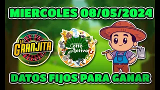 ✅ DATOS DE LOTTO ACTIVO Y LA GRANJITA PARA HOY 08/05/2024  - Tus Datos Fijos 🎯