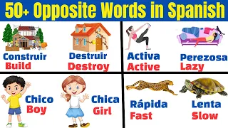 Spanish Opposite Words |Most Important Antonyms in Spanish For Daily Life | Spanish vocabulary