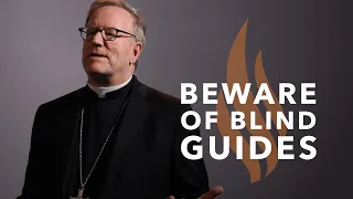 Beware of Blind Guides - Bishop Barron's Sunday Sermon