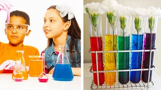 12 Crazy Cool DIY Science Experiments! | Easy and Fun Activities by Blossom