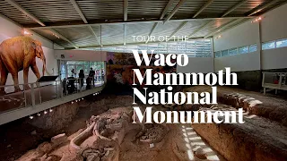 Waco Mammoth National Monument