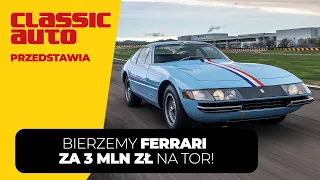 Ferrari 365 GTB/4 - Italian supercar half century later! (PL 4K) | Classicauto