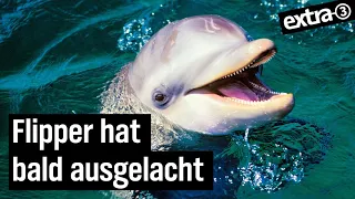 Song zum Artensterben: "Artenlos - gute Nacht!" | extra 3 | NDR