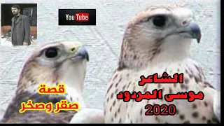 قصة صقر وصخر موسى المردود 2020