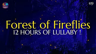 Forest of Fireflies Light - Lullaby for babies to go to sleep - Lullaby songs #19