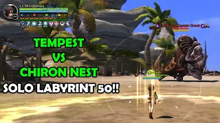 Tempest solo on Chiron Nest LB 50 Dragon Nest 2020