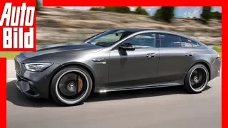 Mercedes AMG GT 4 Türer Coupé (2018) Review / Fahrbericht / Test