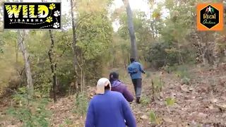 Nature Trail of Tadoba in buffer zone Sitarampeth