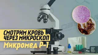Laboratory Microscope Micromed R-1 LED