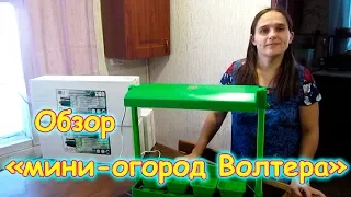 Обзор мини-огорода от Волтеры. (02.19г.) Семья Бровченко.