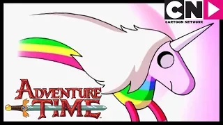 Adventure Time | Lady Rainicorn In The Crystal Dimension | Cartoon Network