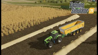 HARVESTING THE LAST FIELD OF OAT - FARMING SIMULATOR 20