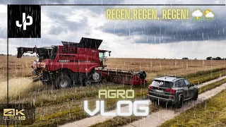 Ernte 2023, ständig Regen! Saatgutvermehrung Roggen - || JP Agrar