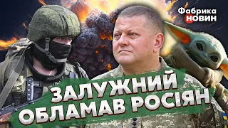 ☝️Наконец! ЗАЛУЖНЫЙ РЕШИЛСЯ НАРУШИТЬ ЗАПРЕТ И ЗАКРЫЛ РОТ россиянам - Кривонос