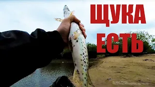 Рыбалка на щуку вблизи Виноградовки 25 мая 2022 Амур.