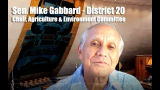 Senator Gabbard May 2021 Virtual Listen Story - May 8, 2021