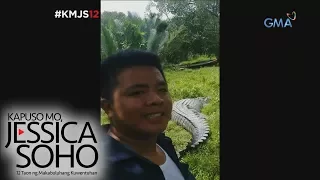 Kapuso Mo, Jessica Soho: Ang kapitbahay naming buwaya