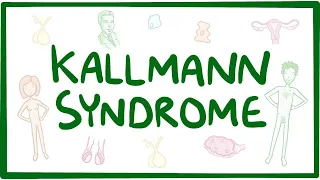 Kallmann syndrome - an Osmosis Preview