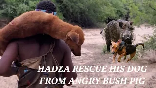 THE HUNTING DOG AND WILD BUSH PIG | HADZABE HUNTER-GATHERERS