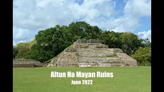 Altun Ha Mayan Ruins and River Cruise (from the port of Belize City, Belize)