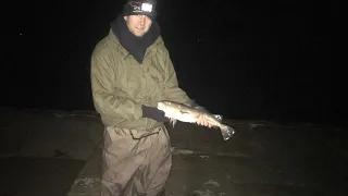 Sea fishing north east Saltburn and Whitby cod  fishing