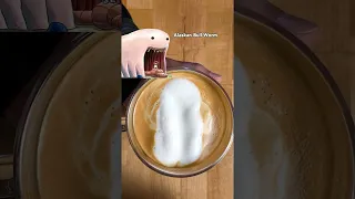 His Latte Art is INSANE