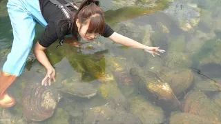 The Dream World of Pearls: The Girl Reveals the Pearls in the Giant Clam, Entering a Fantastic World