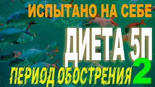 Диета 5П. Период обострения 2. Обострение и ферменты. Блюда  при панкреатите в разные его периоды.