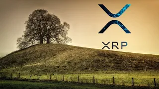 ПУЗЫРЬ XRP МОЖЕТ ЛОПНУТЬ!? ДАМП XRP RIPPLE ПЕРЕД МОЩНЫМ РОСТОМ!!! ЧТО ЖДАТЬ ОТ XRP!?