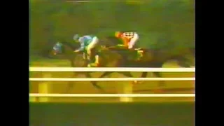 1987 Jockey Club Gold Cup