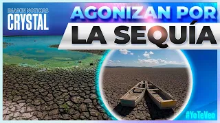 Lagos, ríos y lagunas agonizan por la intensa sequía | Noticias con Crystal Mendivil