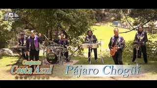 Conjunto Costa Azul - Pájaro Chogüí (Official Video)