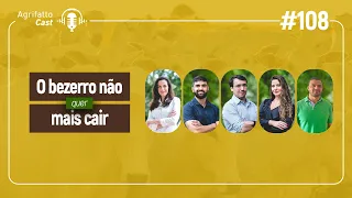 #108 - O bezerro não quer mais cair