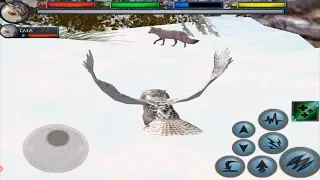 🦉Furious Arctic Owl VS 🦊Angry Arctic Fox Boss, Ultimate Arctic Simulator