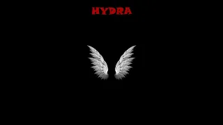 Районный - FLY FLY FLY (HYDRA Remix)